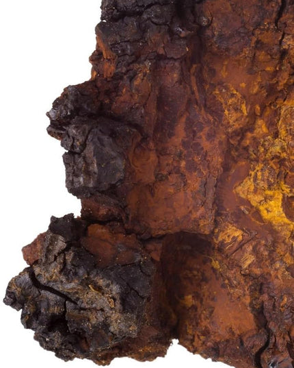 Agility | Soin régénérateur | Améliore la récupération & Favorise l’amplitude des mouvements | Apaise les inflammations | Chaga | 94% d’origine naturelle | Fabriqué en France | 200 ml